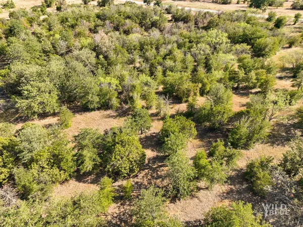 TBD Lots 24 New Hope Road, Santo, TX 76484