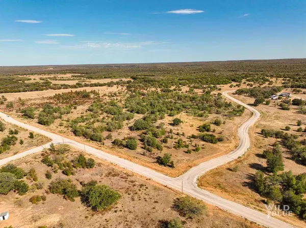 TBD Lots 24 New Hope Road, Santo, TX 76484