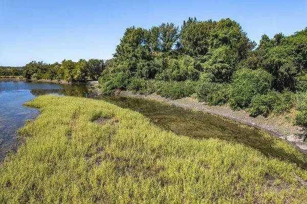 Lot 65 PR 1271, Carlton, TX 76436