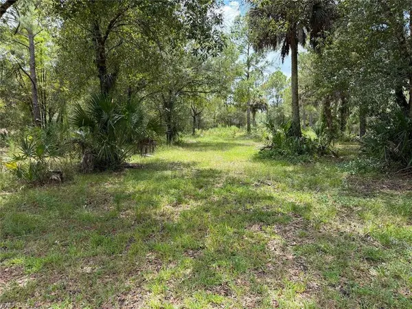 3260 72nd AVE NE, Naples, FL 34120