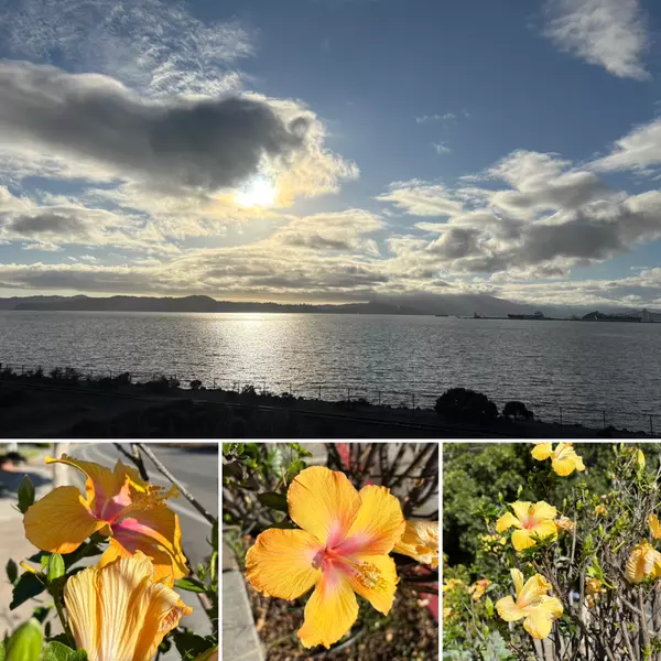Your Latest Bi-Weekly San Francisco Bay Area Market Update - October 15, 2025