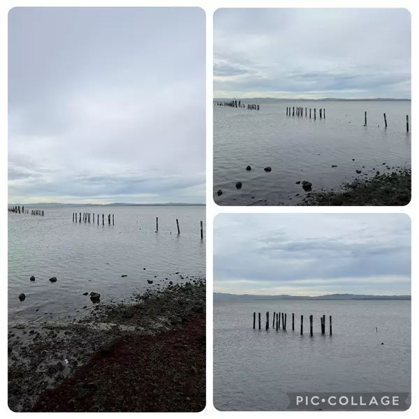 Your Latest Bi-Weekly San Francisco Bay Area Market Update - November 26, 2025,Basak Cakici