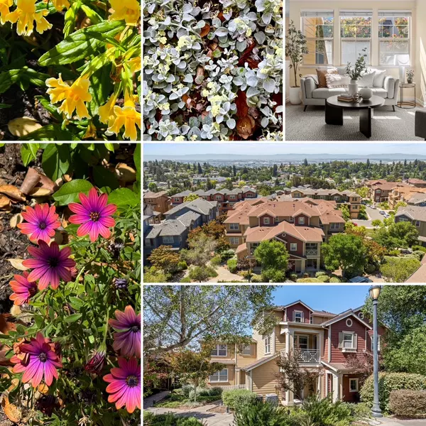 Your Latest Bi-Weekly San Francisco Bay Area Market Update - May 28, 2025