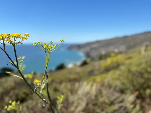Your Latest Bi-Weekly San Francisco Bay Area Market Update - September 3, 2025