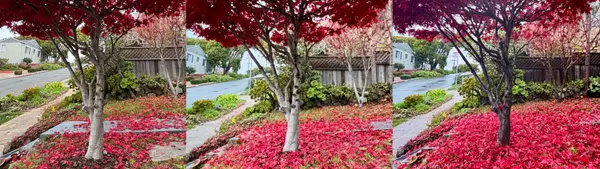 Your first 2026 Bi-Weekly San Francisco Bay Area Market Update - January 7, 2026