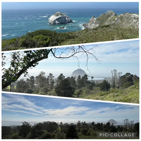 Your latest San Francisco Bay Area Market Update - April 1, 2026