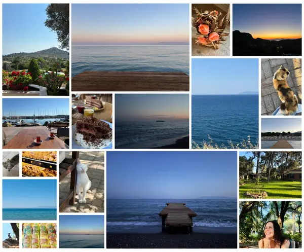 Your latest San Francisco Bay Area Market Update - June 24, 2026