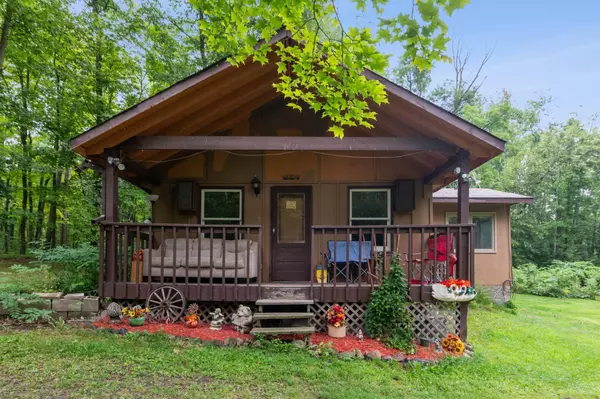 1847 295th AVE, Hillman Twp, MN 55051