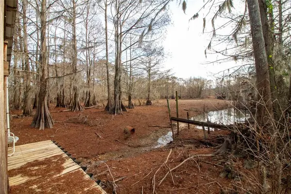 139 Bourbon Street, Elm Grove, LA 71051