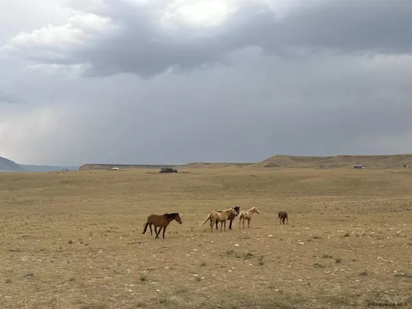 Lot 305, Laramie, WY 82070