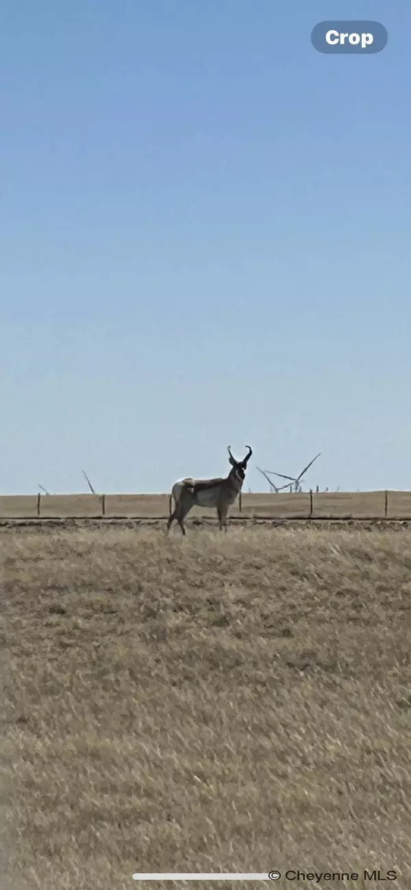 Tract 295 South Carolina Rd, Cheyenne, WY 82009