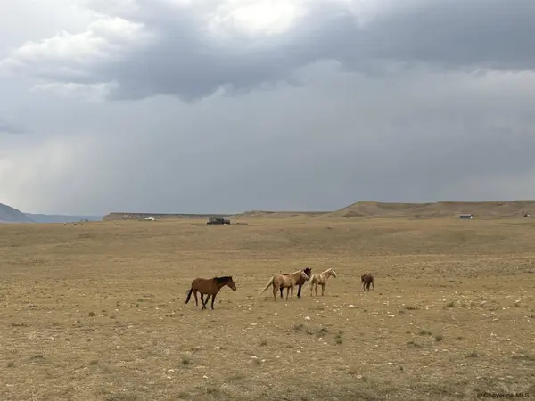 Tr 305 BIG HORN DR, Laramie, WY 82070