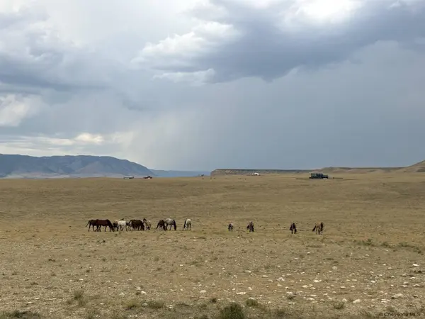 Tr 305 BIG HORN DR, Laramie, WY 82070