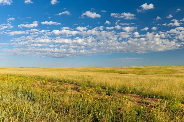 Tract 291 BOUNDARY Rd, Cheyenne, WY 82009