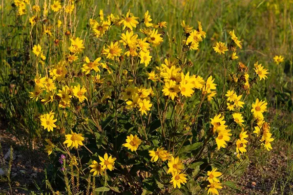 Tract 353 South Rd, Cheyenne, WY 82009