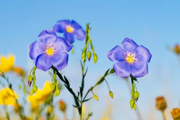 Tract 386 Range Lind Rd, Cheyenne, WY 82009