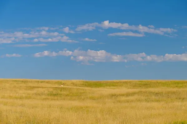 Tract 233 Pennsylvania Rd, Cheyenne, WY 82009