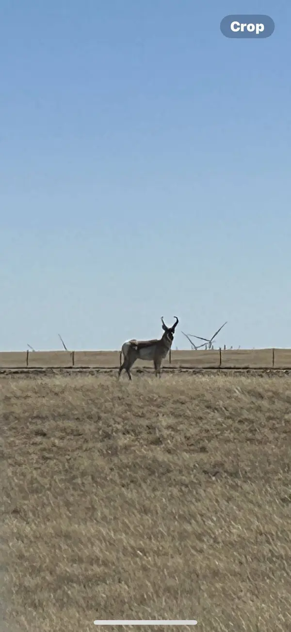 Tract 291 BOUNDARY Rd, Cheyenne, WY 82009