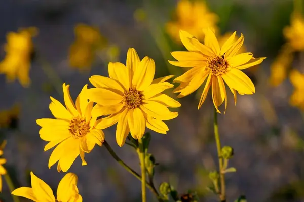 Tract 386 Range Lind Rd, Cheyenne, WY 82009