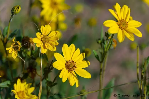 Lot 357 CARRIBEAN RD, Cheyenne, WY 82009