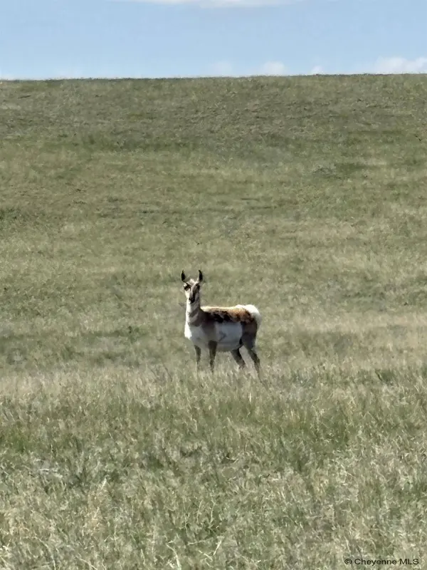 Lot 340 CARRIBEAN RD, Cheyenne, WY 82009