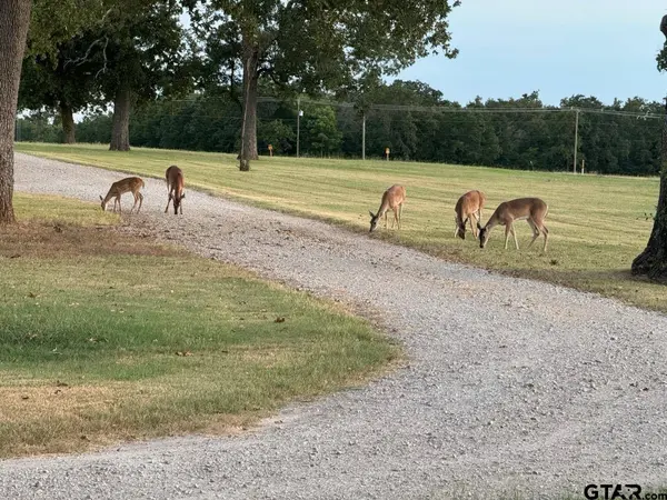 9748 CR 1200, Athens, TX 75751