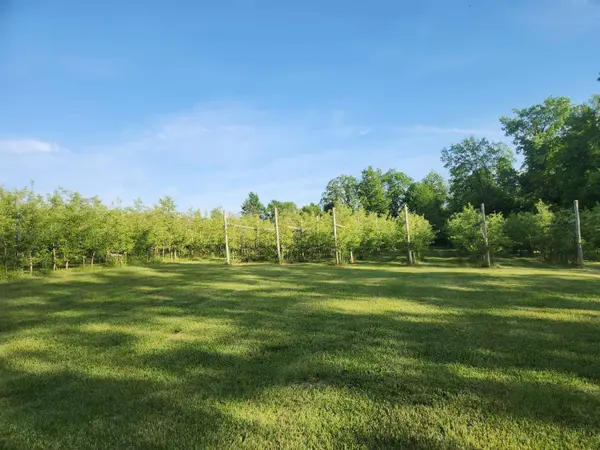 16318 E County Road V Road, Hillsboro, WI 54634-3226