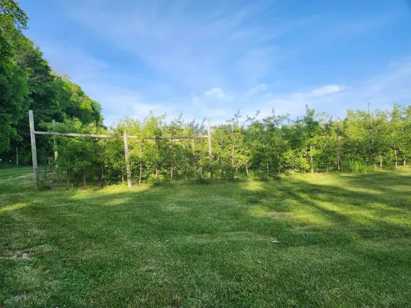 16318 E County Road V Road, Hillsboro, WI 54634-3226