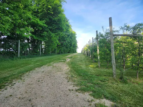 16318 E County Road V Road, Hillsboro, WI 54634-3226