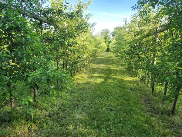 16318 E County Road V Road, Hillsboro, WI 54634-3226