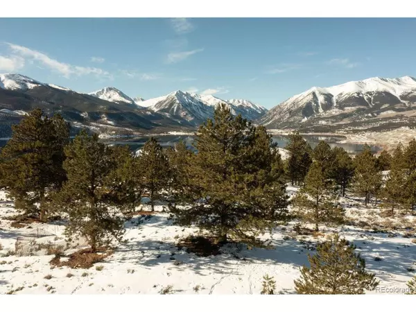 0 Rainbow Dr, Twin Lakes, CO 81228