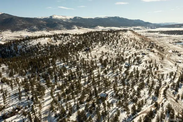 6 Ross DR, Granite, CO 81228