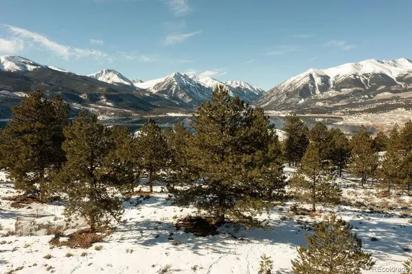 6 Ross DR, Granite, CO 81228