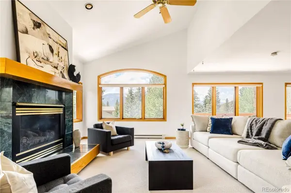 454 Ensign DR #A, Dillon, CO 80435
