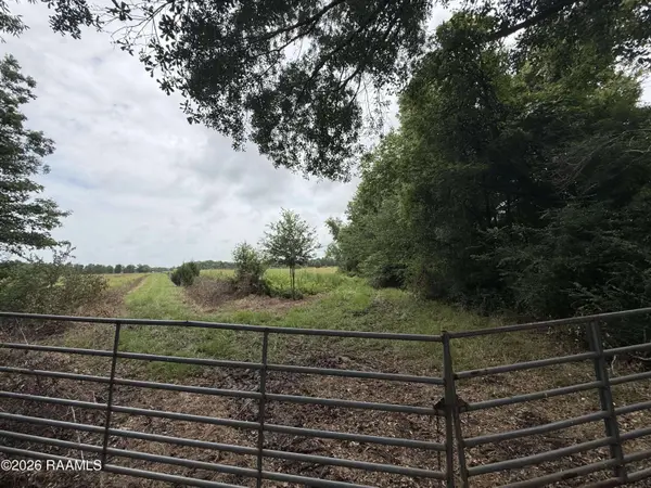 Tbd Apple RD, Opelousas, LA 70570