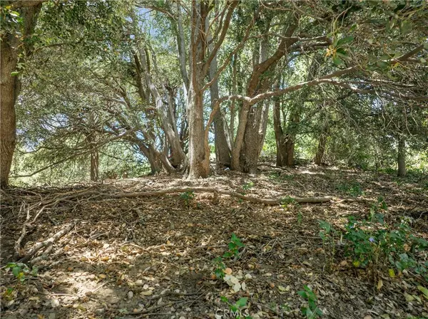 2727 Delle, Crestline, CA 92325