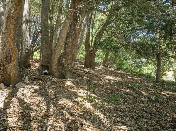 2727 Delle, Crestline, CA 92325