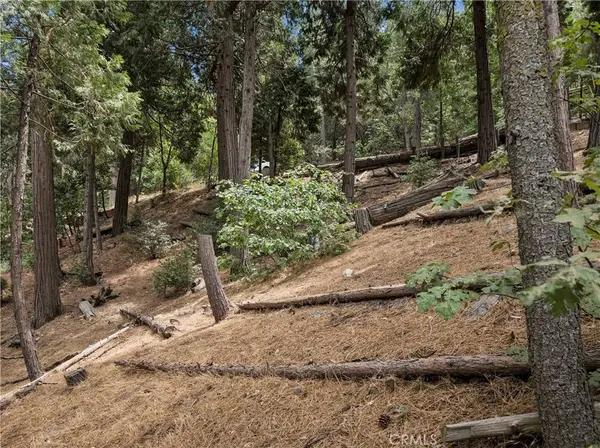 0 San Moritz (0 Horst), Crestline, CA 92325