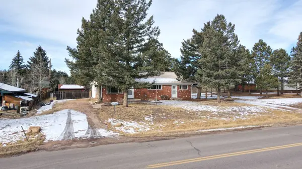 720 Rampart Range RD, Woodland Park, CO 80863