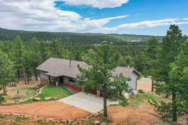 2754 County Road 421, Florissant, CO 80816
