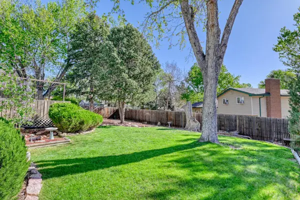 1707 Robidoux CR, Colorado Springs, CO 80915