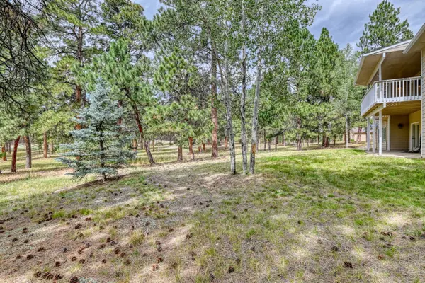 789 Piney Ridge WY, Monument, CO 80132