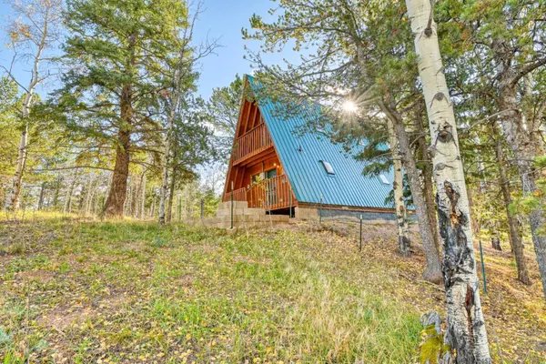 954 Timber Ridge Road, Divide, CO 80814