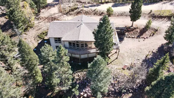 323 Woody Creek RD, Divide, CO 80814