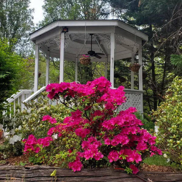 Forest Ave, Hanover, MD 21076