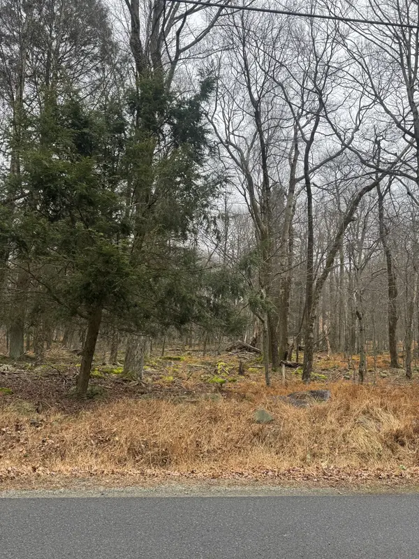 3 Mountain Drive, Pocono Springs, PA 18445