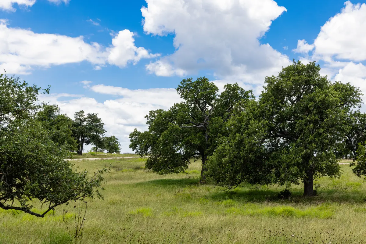 Gretchen Grove Ln, Fredericksburg, TX