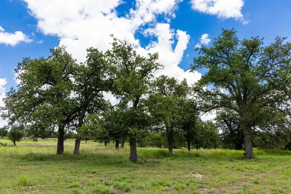 34 Gretchen Grove Ln, Fredericksburg, TX 78624