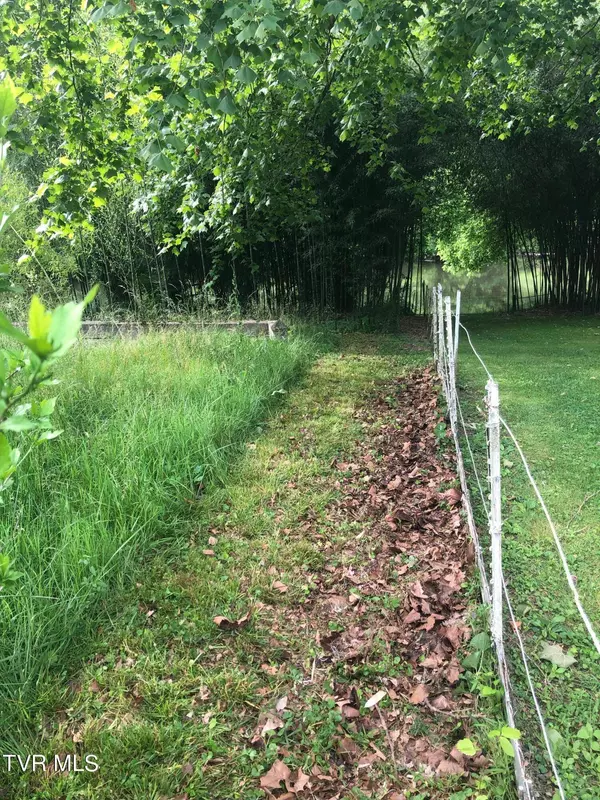 Tbd Fork River RD, Abingdon, VA 24210