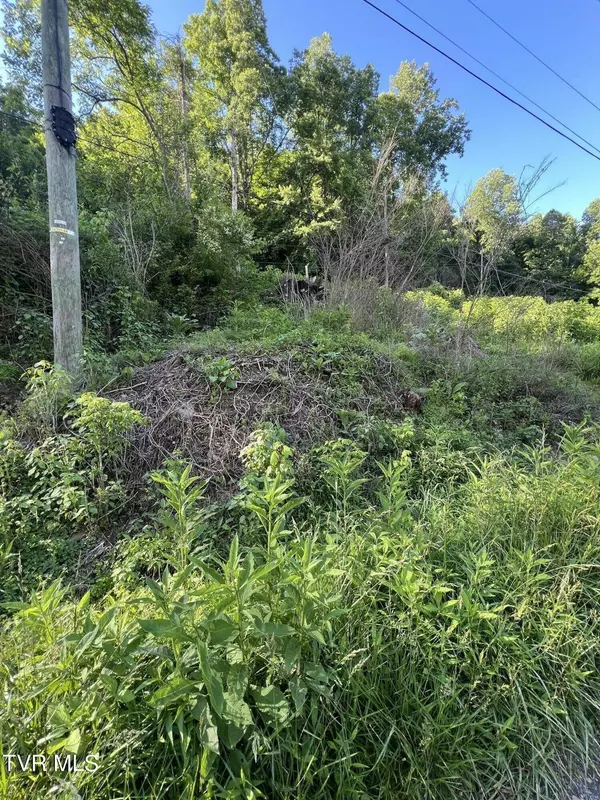 Tbd Fork River RD, Abingdon, VA 24210